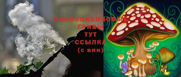 ALPHA-PVP Белокуриха