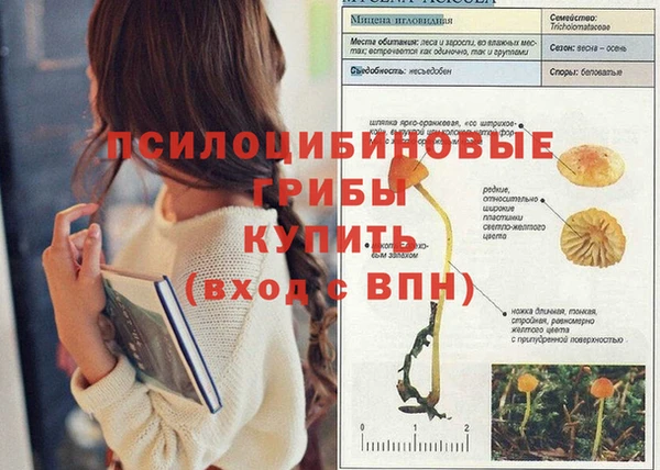 ALPHA-PVP Белокуриха